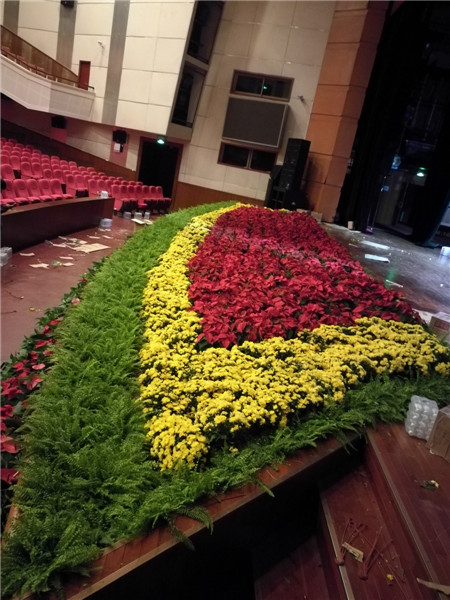 北京花卉植物菊花的種植簡單，記住這4點，開花更大