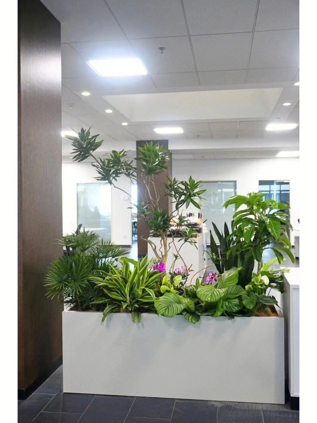 北京世紀(jì)匯通園藝養(yǎng)護(hù)綠植的標(biāo)準(zhǔn)。