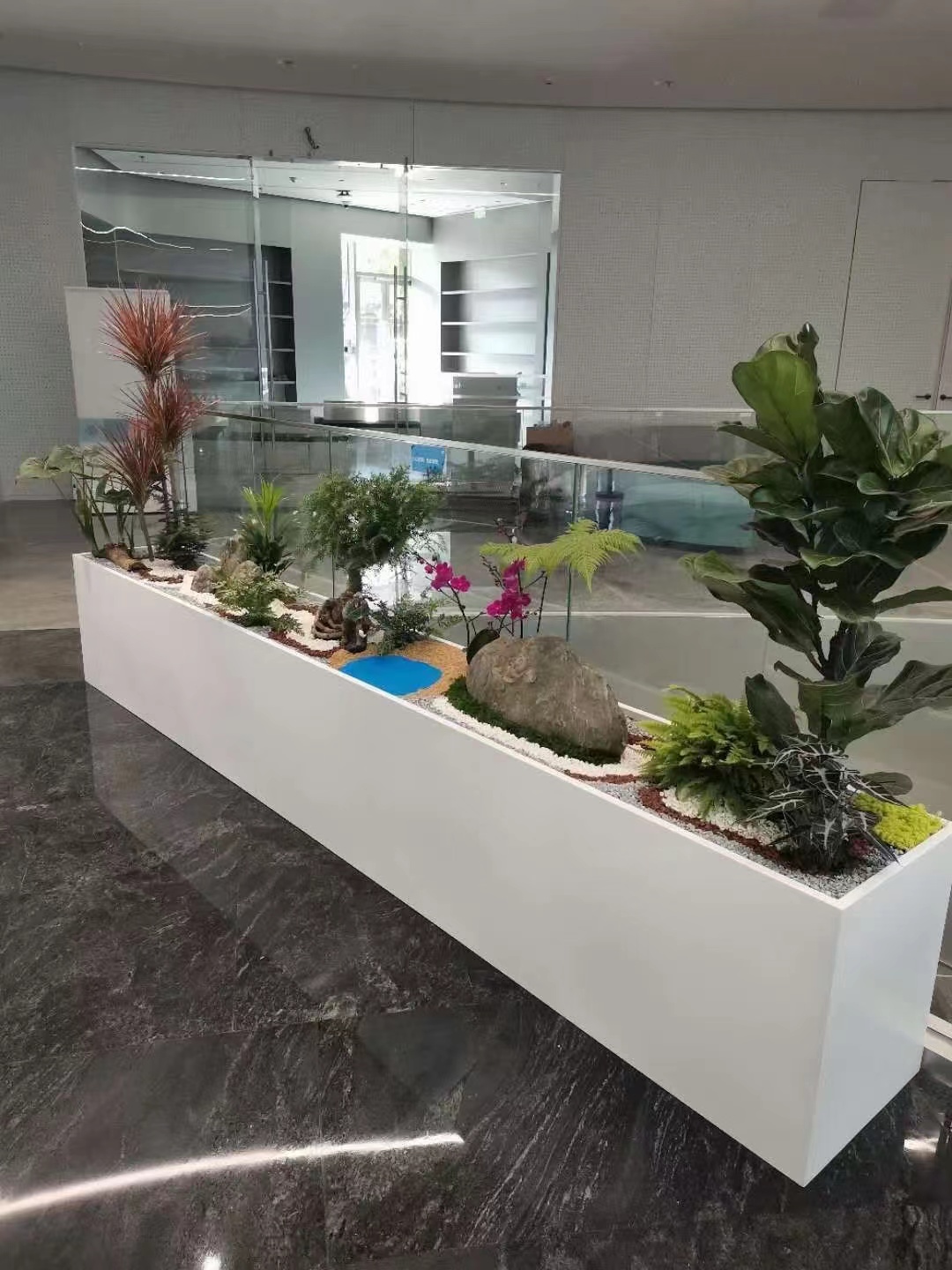 綠植租賃公司在綠植養(yǎng)護過程中常遇到的問題