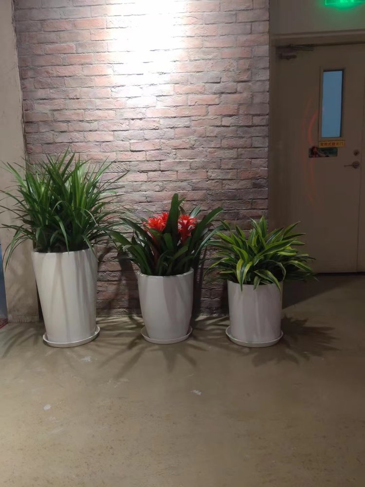 北京花卉租擺大興區(qū)花卉租擺公司亦莊經(jīng)濟技術開發(fā)區(qū)綠植租擺公司